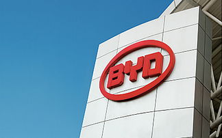 南隼互動 深圳網(wǎng)站設(shè)計(jì)與建設(shè)專家，賦能企業(yè)數(shù)字化品牌與電子產(chǎn)品營銷